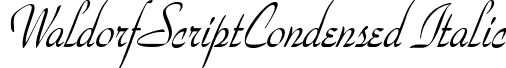WaldorfScriptCondensed Italic waldorfscriptcondenseditalic.ttf