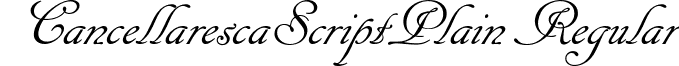 CancellarescaScriptPlain Regular calligraphic-inkcancellarescascriptplain-regular.ttf