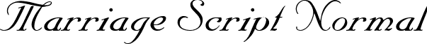 Marriage Script Normal calligraphic-inkmarriage-script-normal.ttf