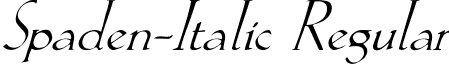 Spaden-Italic Regular spaden-italic.ttf