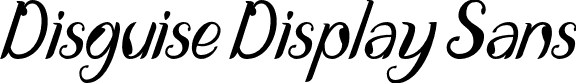 Disguise Display Sans Disguise Display- italic.otf