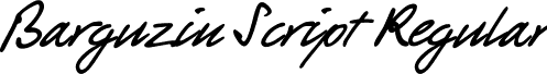 Barguzin Script Regular barguzinscript.ttf