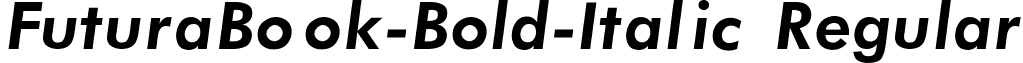 FuturaBook-Bold-Italic Regular Futura_Book-Bold-Italic Regular.ttf