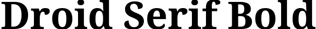 Droid Serif Bold droid-serif.bold.ttf