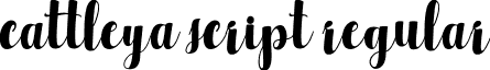 cattleya script regular Cattleya.ttf