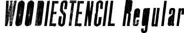 WOODIESTENCIL Regular Woodie Stencil Italic.ttf