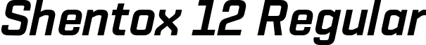 Shentox 12 Regular Shentox SemiBold Italic.ttf
