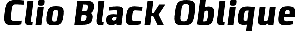 Clio Black Oblique LeType - ClioBlackOblique-Black.otf