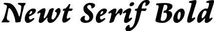 Newt Serif Bold newt-serif.serifbold-italic.otf