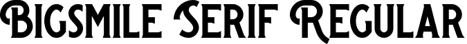 Bigsmile Serif Regular Bigsmile-Serif (Demo).ttf