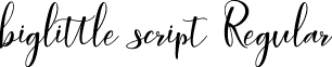 biglittle script Regular biglittle script.ttf