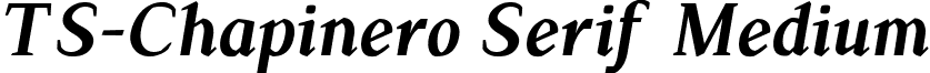 TS-Chapinero Serif Medium Chapinero Serif Medium Italic.ttf