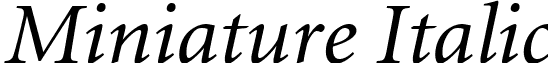 Miniature Italic MNTR___O.TTF