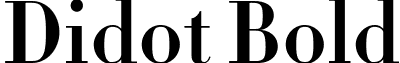 Didot Bold Didot-HTF-B11-Bold.ttf