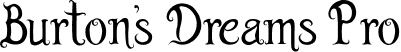 Burton's Dreams Pro Burton's Dreams by Jeniffer Z..ttf
