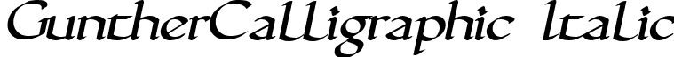 GuntherCalligraphic Italic gunthci.ttf