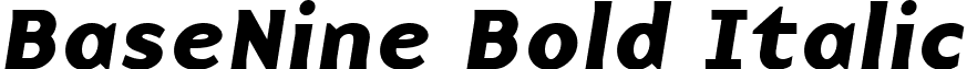 BaseNine Bold Italic basenine bold italic.ttf
