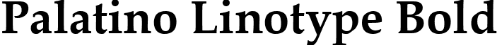 Palatino Linotype Bold Palatino Linotype.ttf