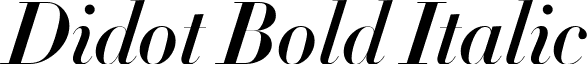 Didot Bold Italic Didot-HTF-B64-Bold-Ital.ttf