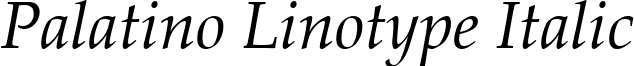 Palatino Linotype Italic Palatino Linotype.ttf