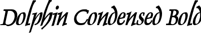 Dolphin Condensed Bold Dolphin Condensed Bold Italic.ttf
