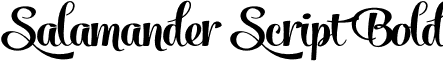 Salamander Script Bold SalamanderScriptBold.otf