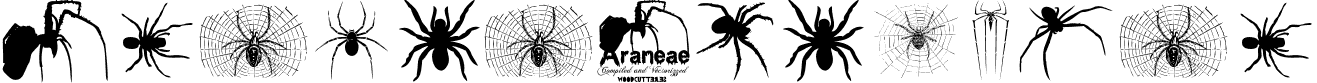 Aranea Regular Araneae.ttf