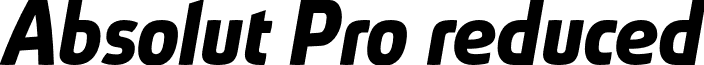 Absolut Pro reduced Absolut_Pro_Bold_Italic_reduced.otf