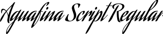Aguafina Script Regular AguafinaScript-Regular.ttf