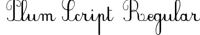 Plum Script Regular PlumScript.ttf