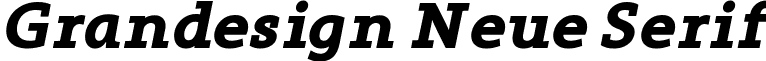Grandesign Neue Serif Grandesign Neue Serif Bold Italic.ttf