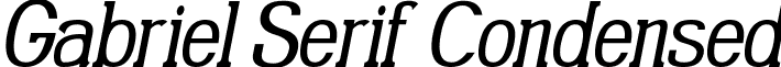 Gabriel Serif Condensed Gabriel_Serif_Condensed_Italic.ttf